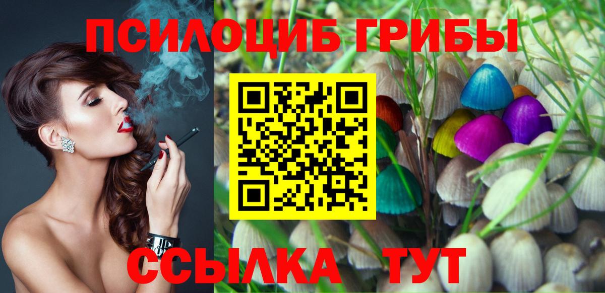Галлюциногенные грибы Psilocybine cubensis  Вход с VPN  Мичуринск 