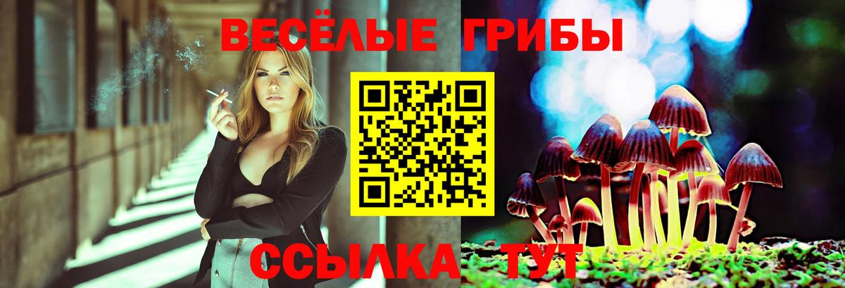 Галлюциногенные грибы Psilocybine cubensis Мичуринск